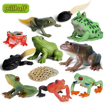 Моделиране на Действията на Мини Жаба Жаба-бул Дървесна жаба Жаба-Бул Колекция от Фигури на Животни Модел на Познанието Забавни играчки за деца